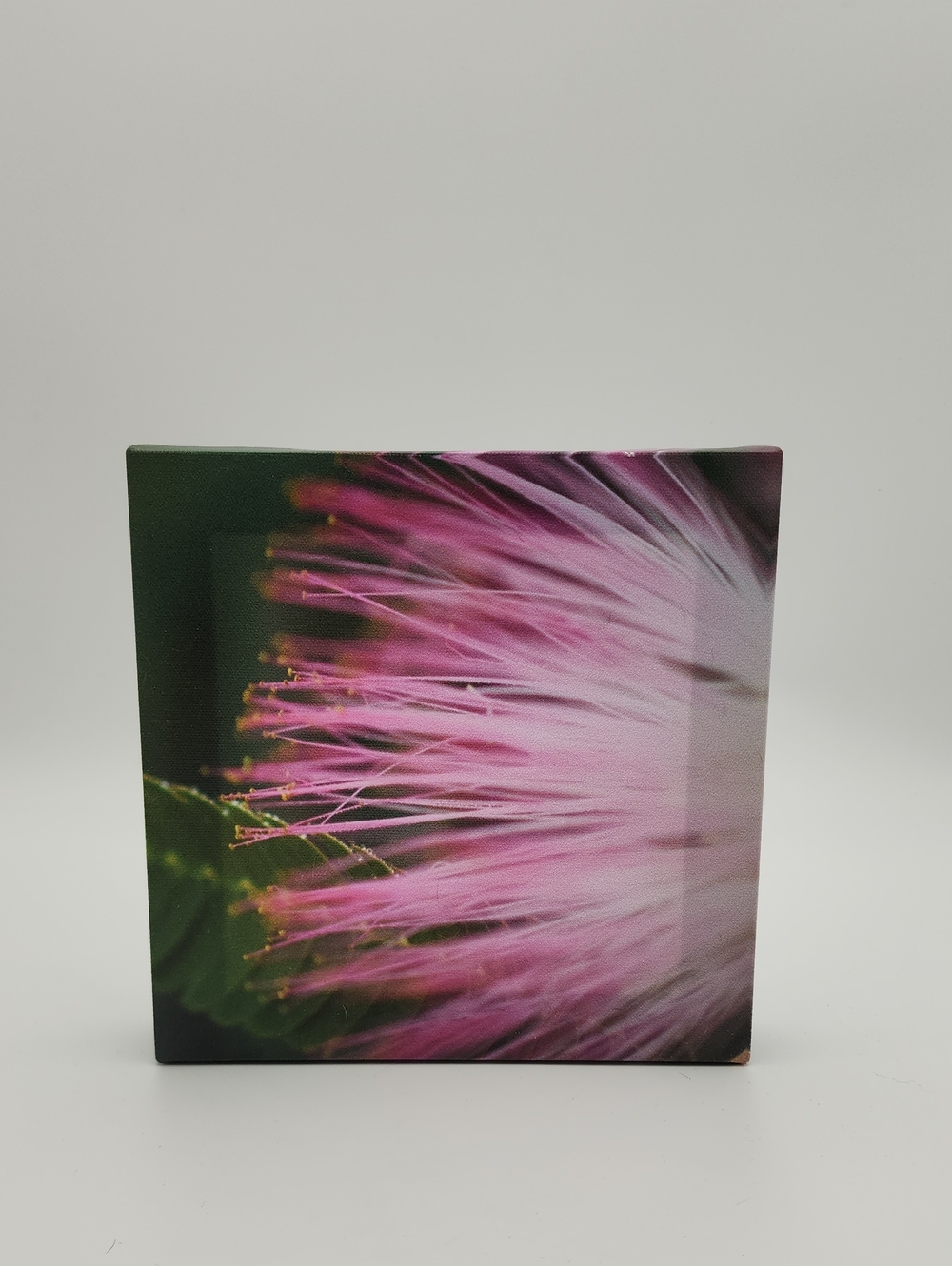 Personal Artwork - Pink Floral Wall Art Canvas -‎ Home Art